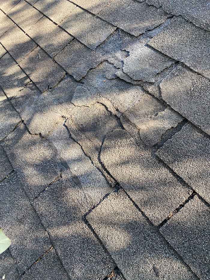 tree damage roof repair